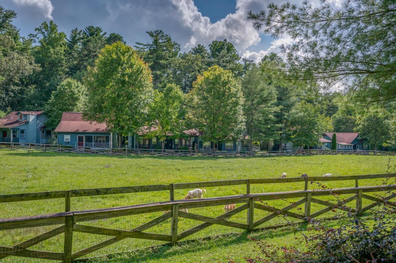Buttercup Cottage Asheville Exterior foto